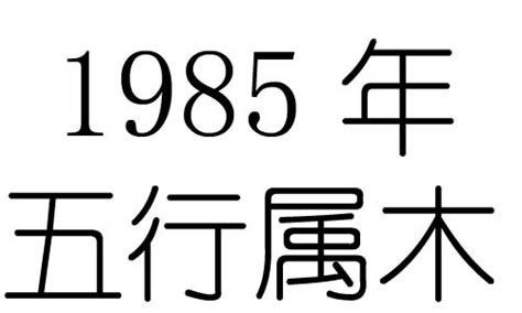 1985属什么